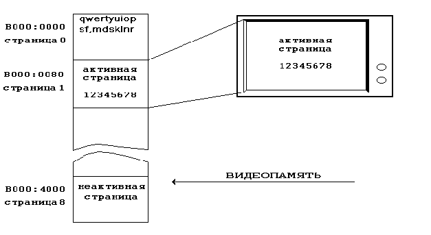 Сколько страниц видеопамяти оно занимает